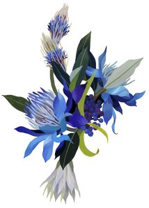 Image Inconnue - Unbekannt Unbekannt